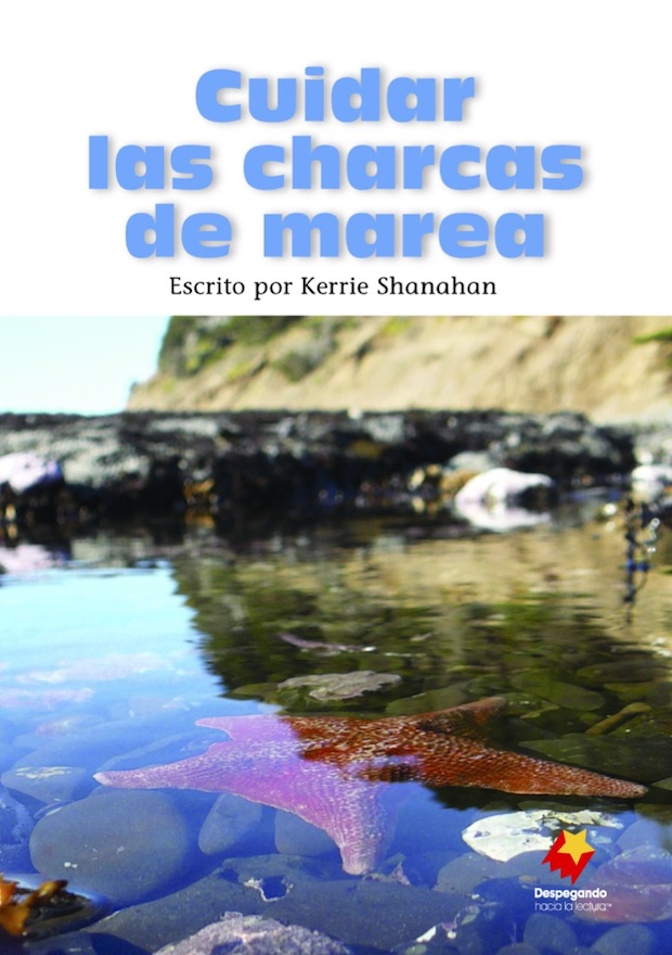 Cuidar las charcas de marea